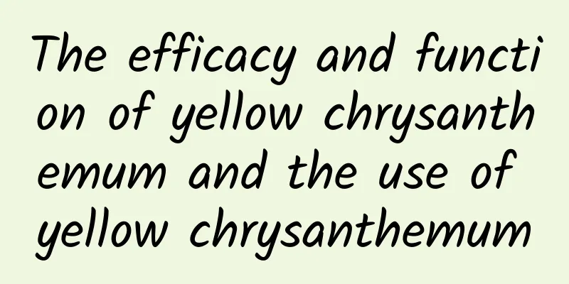 The efficacy and function of yellow chrysanthemum and the use of yellow chrysanthemum