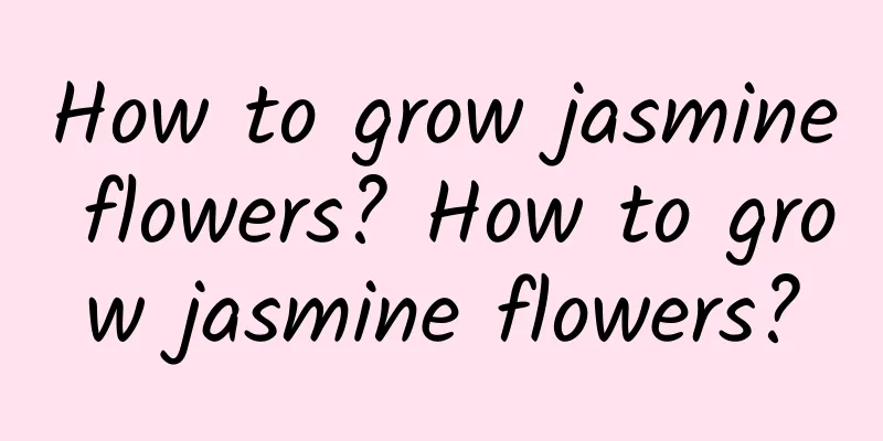 How to grow jasmine flowers? How to grow jasmine flowers?