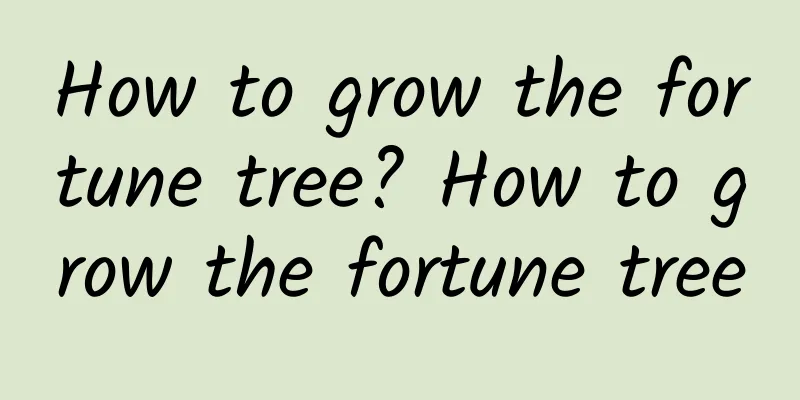 How to grow the fortune tree? How to grow the fortune tree