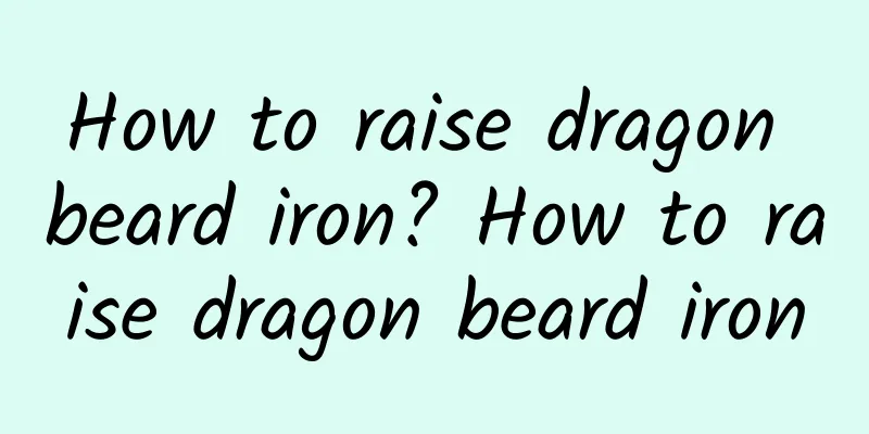 How to raise dragon beard iron? How to raise dragon beard iron