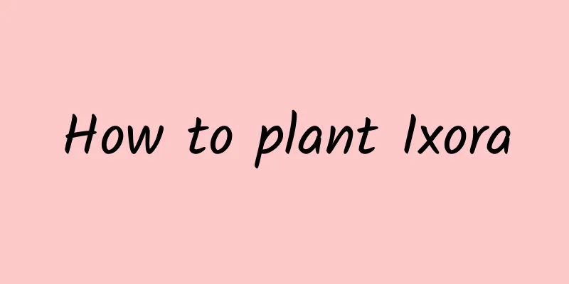 How to plant Ixora