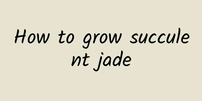 How to grow succulent jade