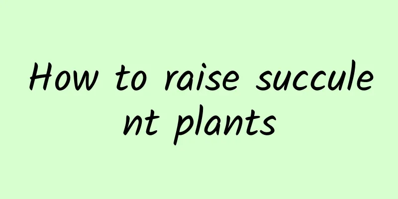 How to raise succulent plants