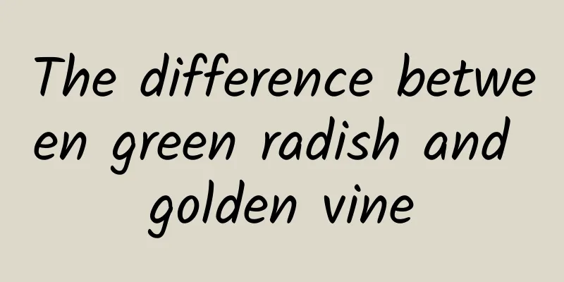 The difference between green radish and golden vine