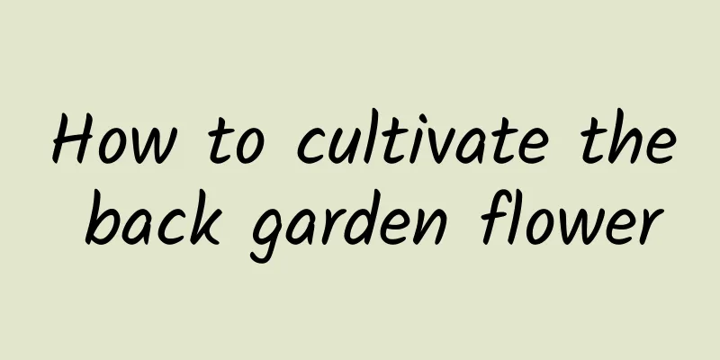 How to cultivate the back garden flower