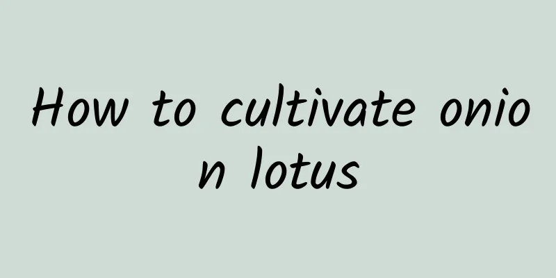 How to cultivate onion lotus