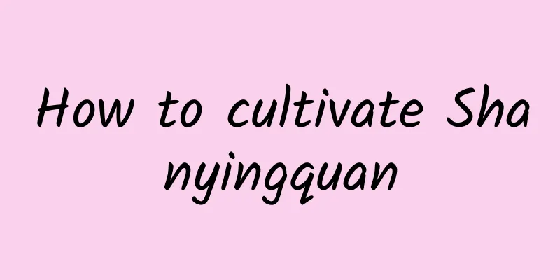 How to cultivate Shanyingquan