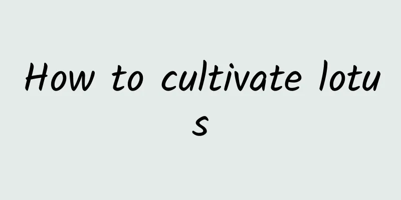 How to cultivate lotus