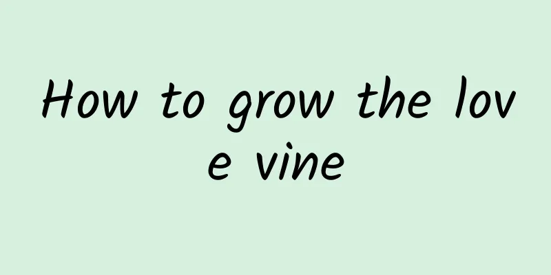 How to grow the love vine