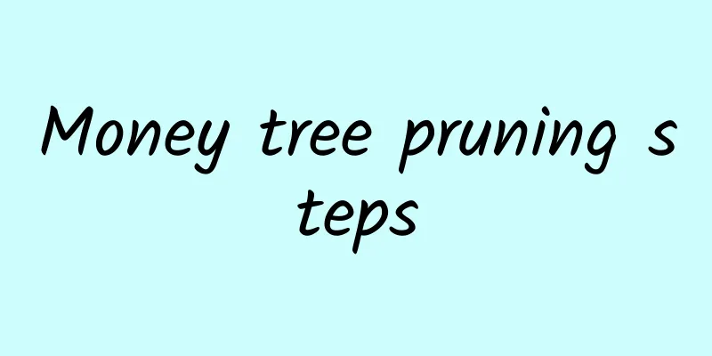 Money tree pruning steps