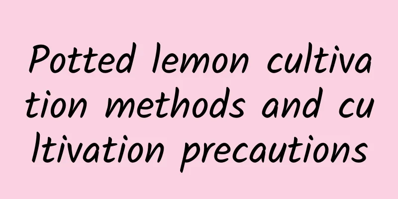 Potted lemon cultivation methods and cultivation precautions