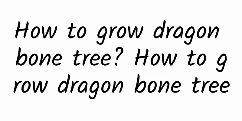 How to grow dragon bone tree? How to grow dragon bone tree