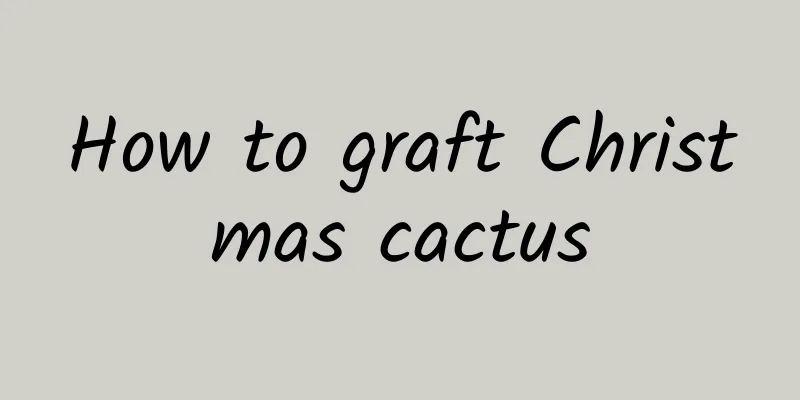 How to graft Christmas cactus