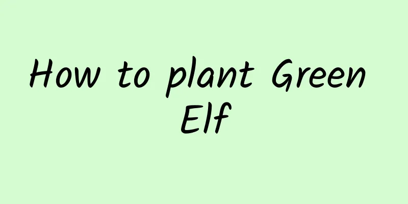 How to plant Green Elf