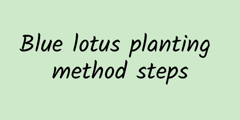 Blue lotus planting method steps