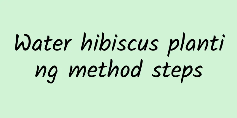 Water hibiscus planting method steps