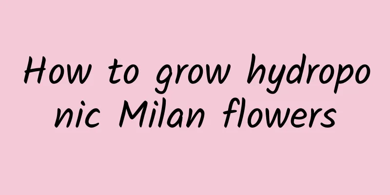 How to grow hydroponic Milan flowers