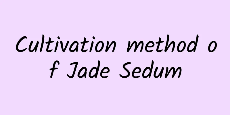 Cultivation method of Jade Sedum