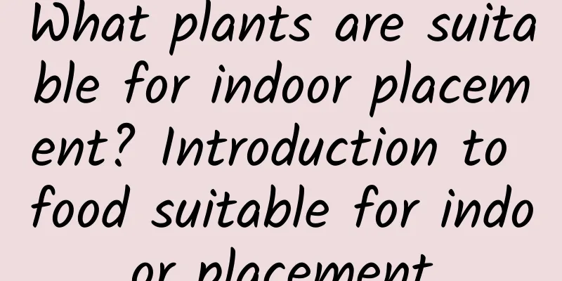 What plants are suitable for indoor placement? Introduction to food suitable for indoor placement