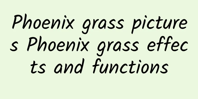 Phoenix grass pictures Phoenix grass effects and functions