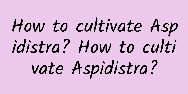 How to cultivate Aspidistra? How to cultivate Aspidistra?