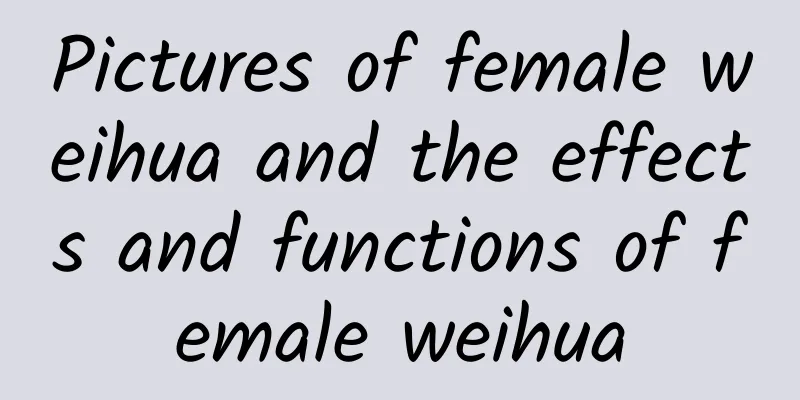 Pictures of female weihua and the effects and functions of female weihua