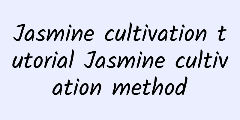 Jasmine cultivation tutorial Jasmine cultivation method