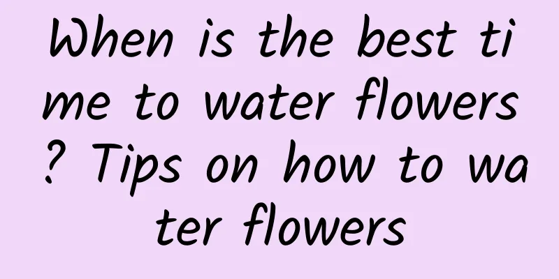 When is the best time to water flowers? Tips on how to water flowers