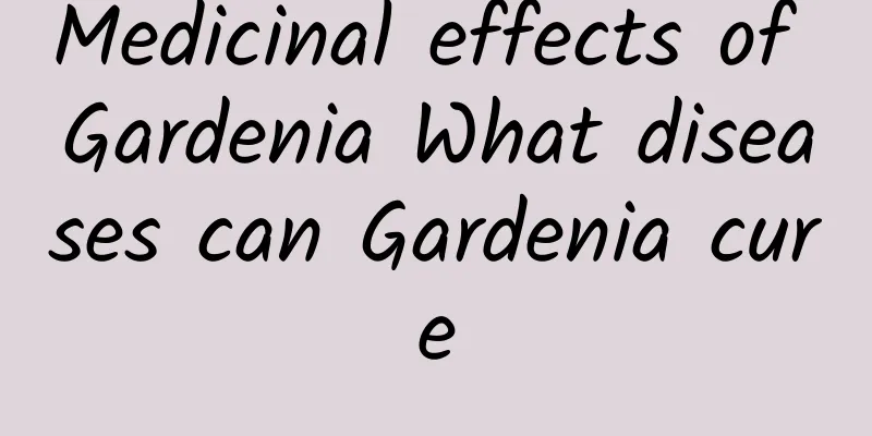 Medicinal effects of Gardenia What diseases can Gardenia cure