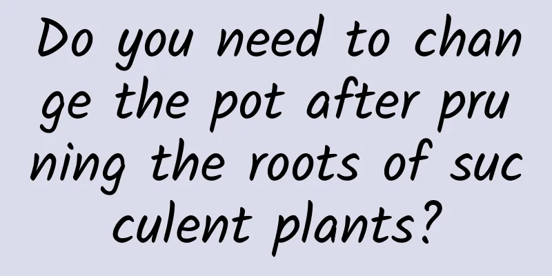 Do you need to change the pot after pruning the roots of succulent plants?