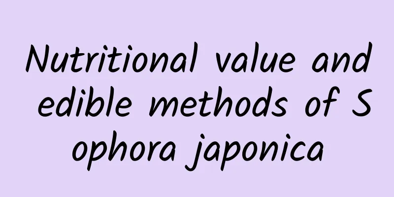 Nutritional value and edible methods of Sophora japonica