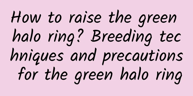 How to raise the green halo ring? Breeding techniques and precautions for the green halo ring