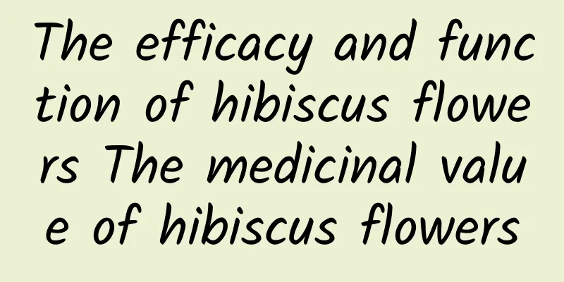 The efficacy and function of hibiscus flowers The medicinal value of hibiscus flowers