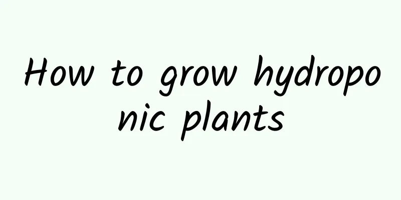 How to grow hydroponic plants