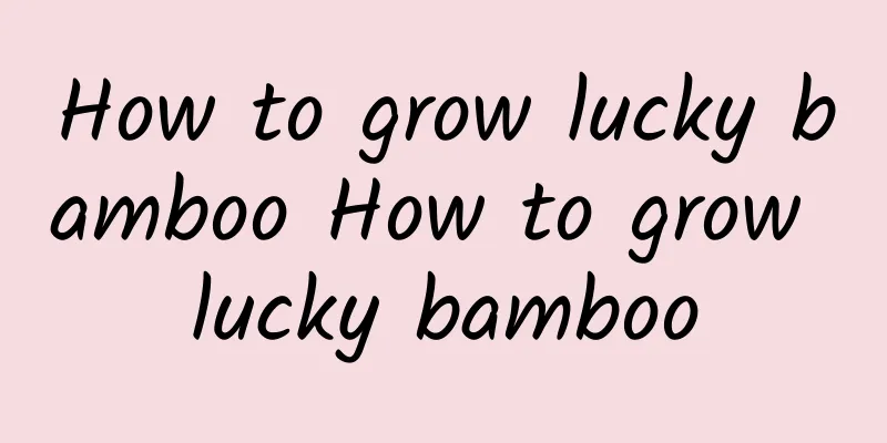 How to grow lucky bamboo How to grow lucky bamboo