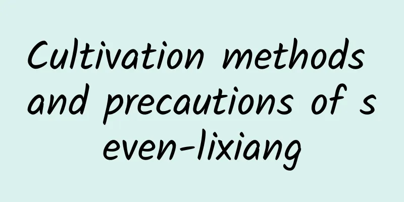 Cultivation methods and precautions of seven-lixiang