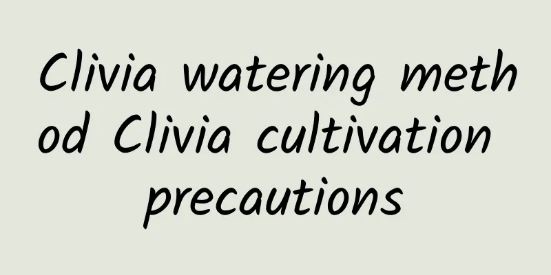 Clivia watering method Clivia cultivation precautions