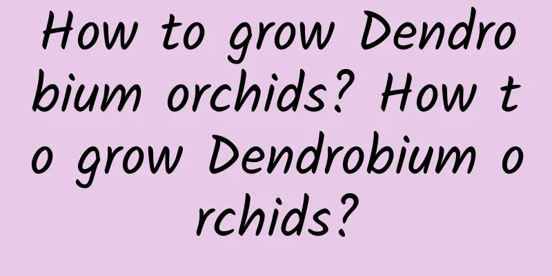 How to grow Dendrobium orchids? How to grow Dendrobium orchids?