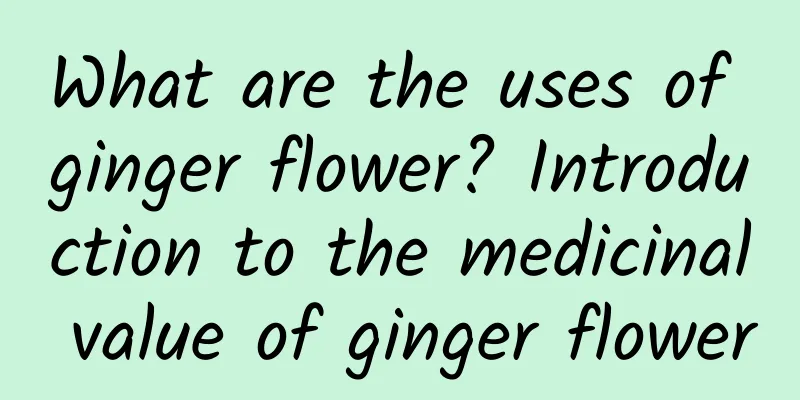 What are the uses of ginger flower? Introduction to the medicinal value of ginger flower