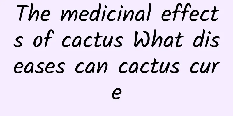 The medicinal effects of cactus What diseases can cactus cure