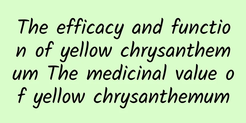 The efficacy and function of yellow chrysanthemum The medicinal value of yellow chrysanthemum