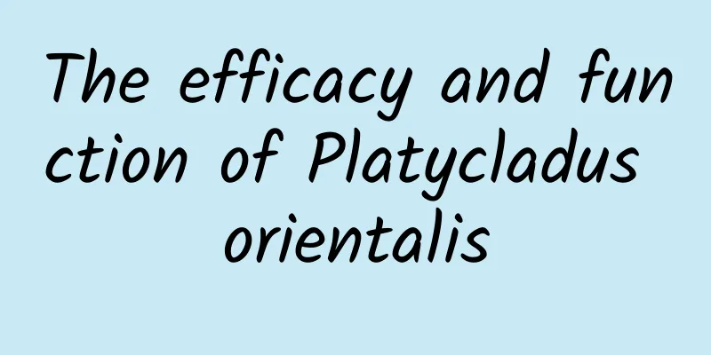 The efficacy and function of Platycladus orientalis