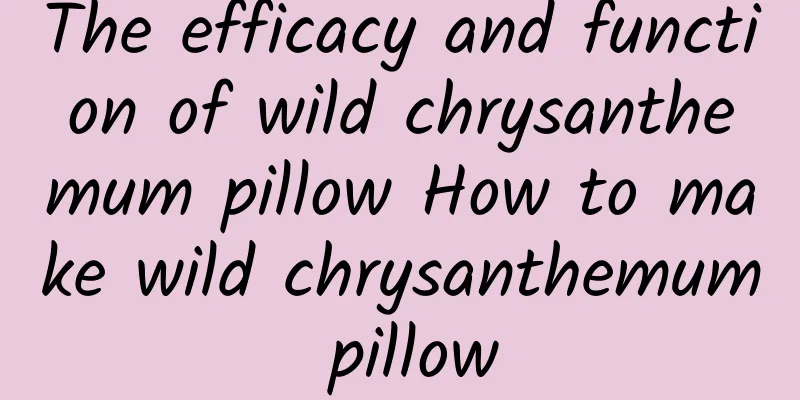 The efficacy and function of wild chrysanthemum pillow How to make wild chrysanthemum pillow