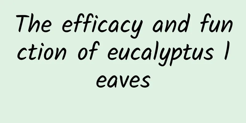 The efficacy and function of eucalyptus leaves