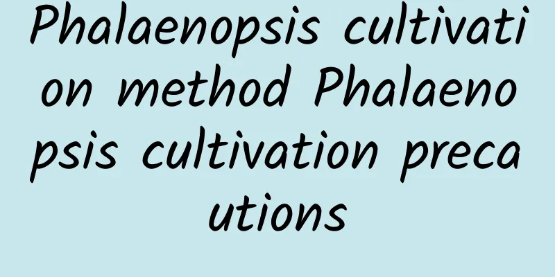 Phalaenopsis cultivation method Phalaenopsis cultivation precautions