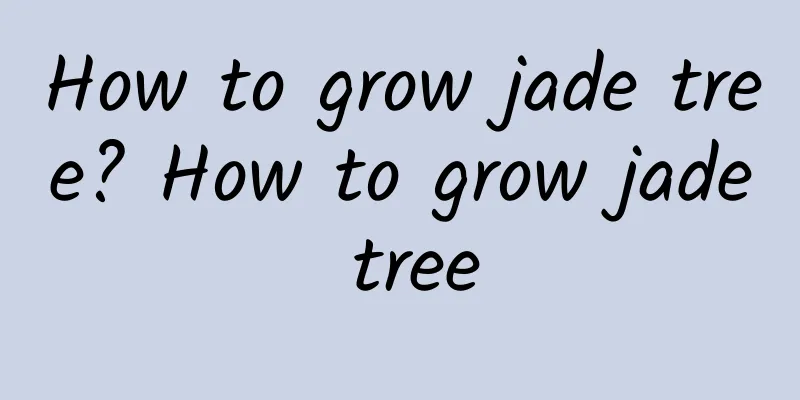 How to grow jade tree? How to grow jade tree