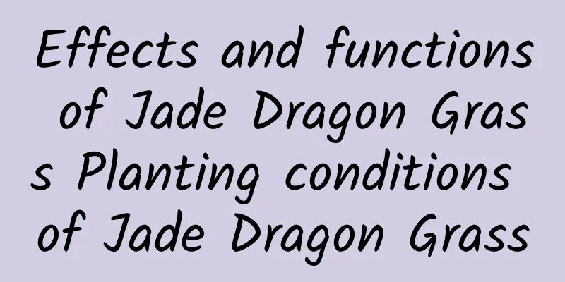 Effects and functions of Jade Dragon Grass Planting conditions of Jade Dragon Grass