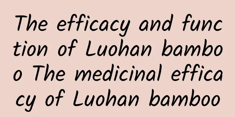 The efficacy and function of Luohan bamboo The medicinal efficacy of Luohan bamboo