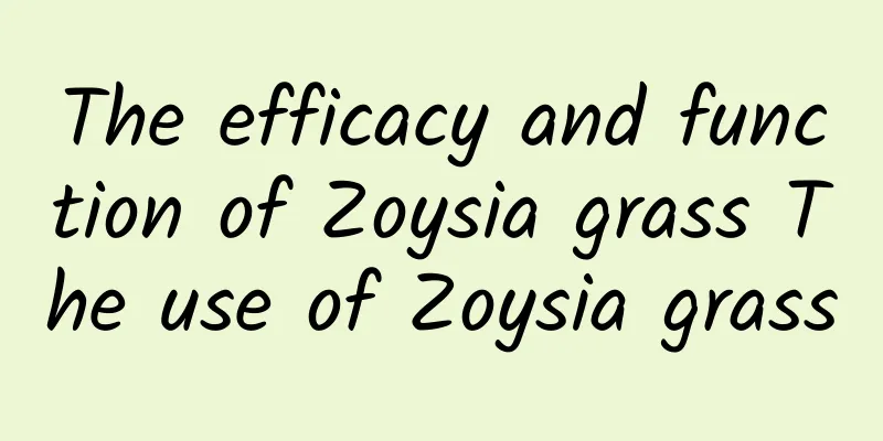 The efficacy and function of Zoysia grass The use of Zoysia grass