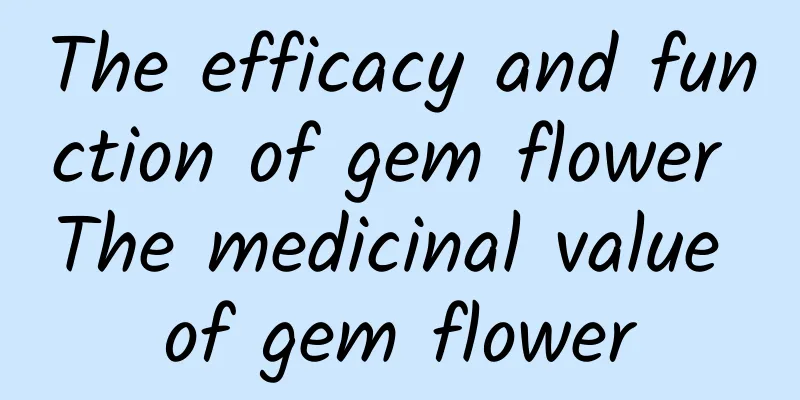 The efficacy and function of gem flower The medicinal value of gem flower